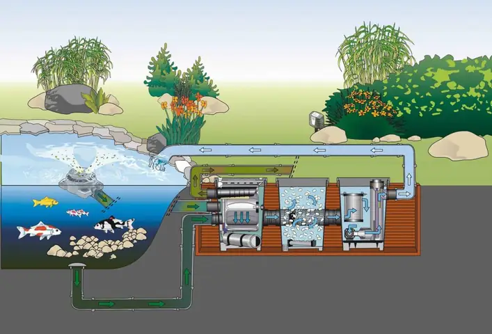 hồ cá sân vườn nhỏ đẹp