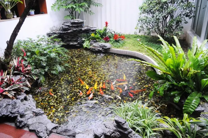 hồ cá sân vườn nhỏ đẹp