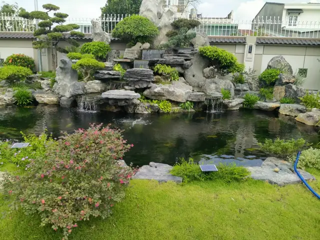 hồ cá sân vườn nhỏ đẹp