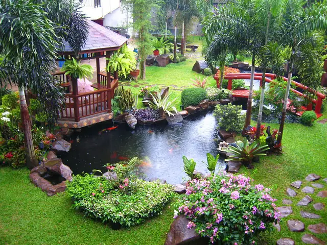 hồ cá sân vườn nhỏ đẹp