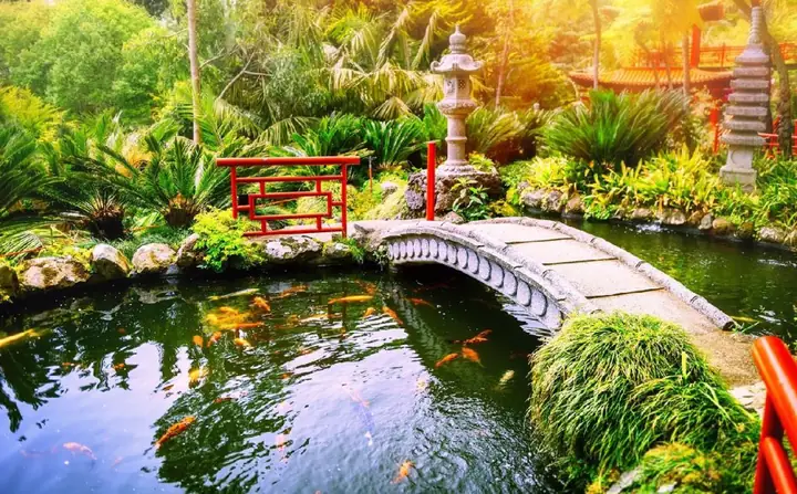 hồ cá sân vườn nhỏ đẹp