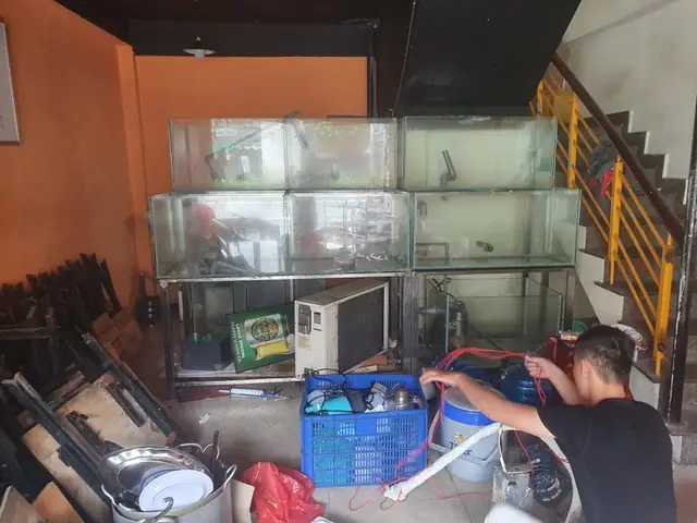 Kinh nghiệm mua hồ cá thanh lý Bình Dương chất lượng, giá tốt
