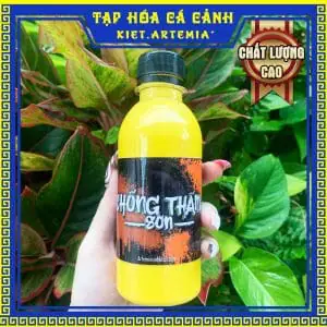 Sơn Chống Thấm Hồ Cá, Thùng Xốp Và Nhiều Chất Liệu Khác