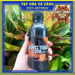 Sơn Chống Thấm Hồ Cá, Thùng Xốp Và Nhiều Chất Liệu Khác