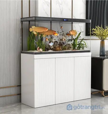 Thiết lập & Chăm sóc Hồ Cá Thủy Sinh Nhỏ: Hướng Dẫn Toàn Diện