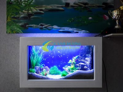 Hồ cá treo tường 80cm với cảnh vật sinh động