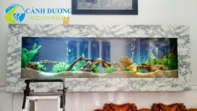 Hồ cá treo tường trang trí phòng