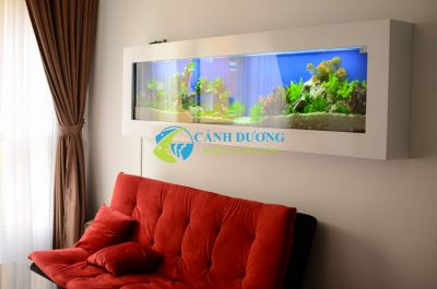 Hồ cá treo tường trong phòng khách