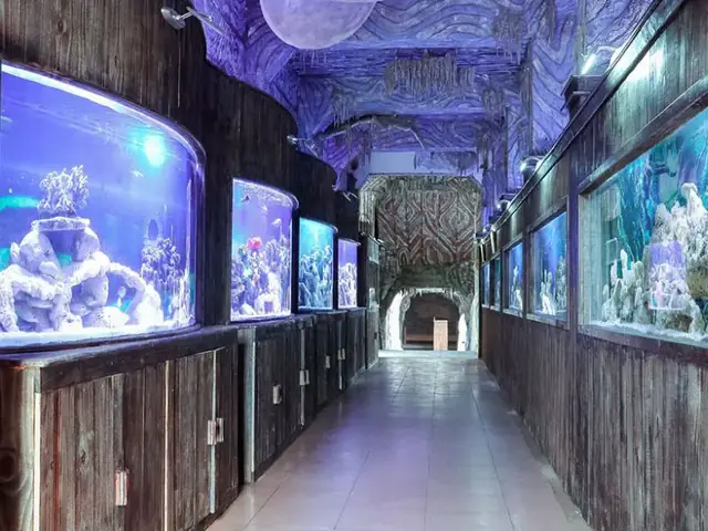 hồ cá trí nguyên