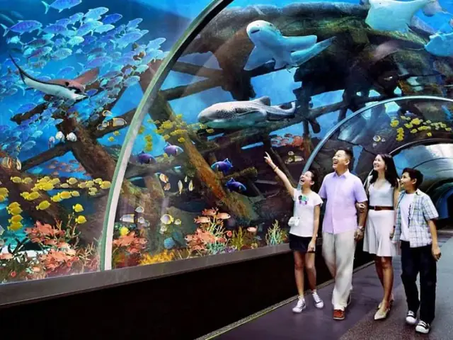 hồ cá trí nguyên