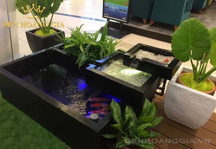 Hồ Cá Trong Nhà: Từ Thiết Kế Đến Chăm Sóc Để Có Không Gian Sống Động