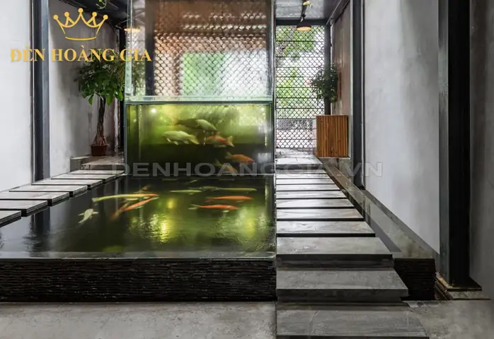 Hồ Cá Trong Nhà: Từ Thiết Kế Đến Chăm Sóc Để Có Không Gian Sống Động