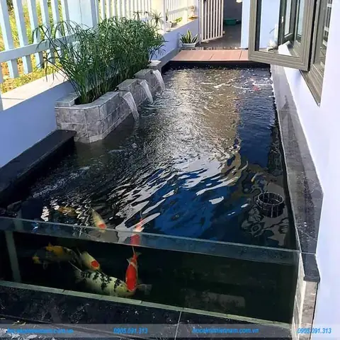 Kinh Nghiệm Làm Hồ Cá Xi Măng Kết Hợp Kính Đẹp Chuẩn