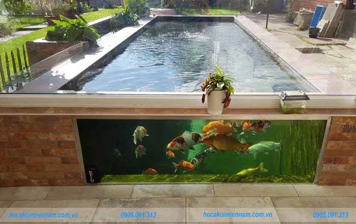 Kinh Nghiệm Làm Hồ Cá Xi Măng Kết Hợp Kính Đẹp Chuẩn
