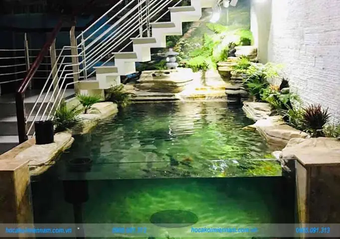 Kinh Nghiệm Làm Hồ Cá Xi Măng Kết Hợp Kính Đẹp Chuẩn