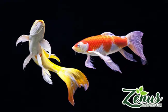 Điều kiện sống