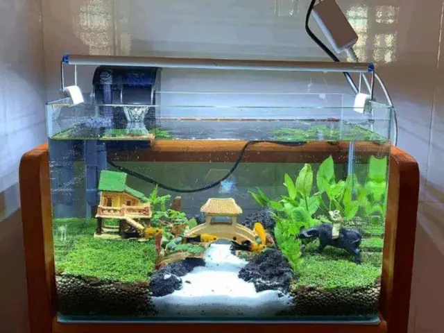 hồ kính nuôi cá