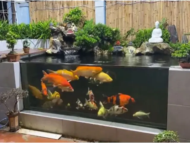hồ kính nuôi cá