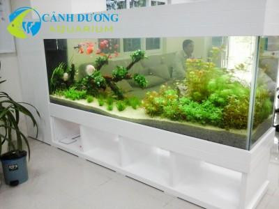 Hồ thủy sinh tươi mát trong phòng