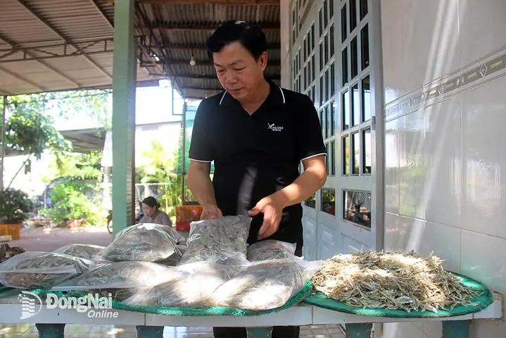 Hồ Trị An Có Cá Gì: Khám Phá Các Loài Cá Đặc Trưng & Giá Trị