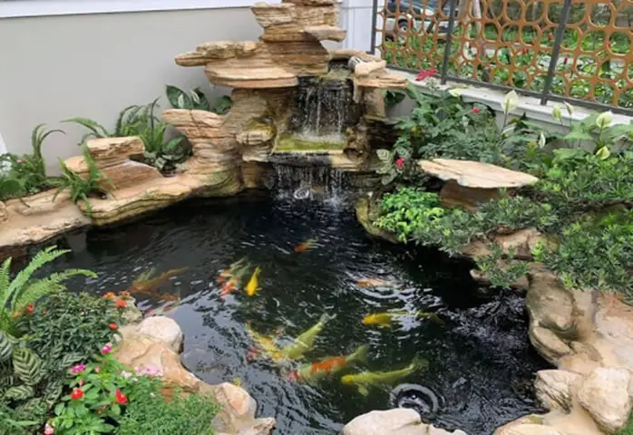 Hướng Dẫn Toàn Diện Về Hòn Non Bộ Nuôi Cá Koi: Từ Thiết Kế Đến Chăm Sóc