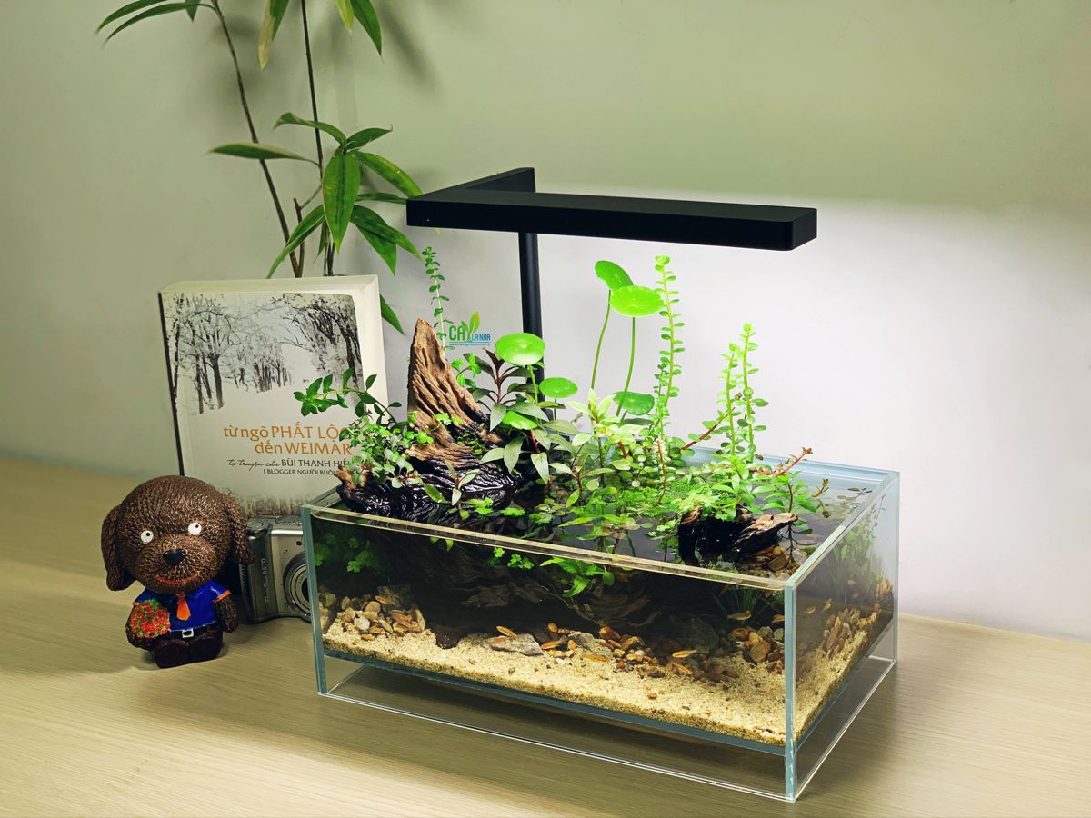 hòn non bộ thu nhỏ trang trí bể cá cảnh mini tự nhiên