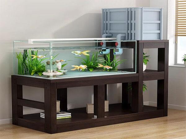 Hướng dẫn cách chọn bể cá phù hợp với người mệnh Kim để tăng tài lộc