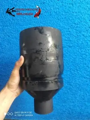 hút mặt hồ cá