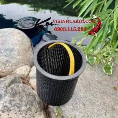 hút mặt hồ cá
