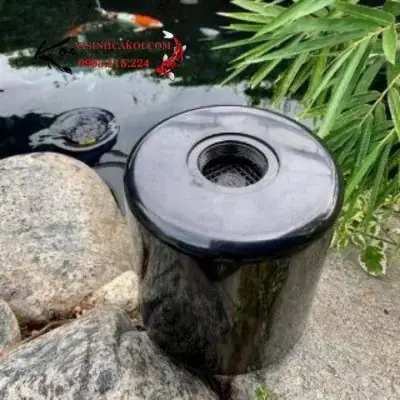 hút mặt hồ cá