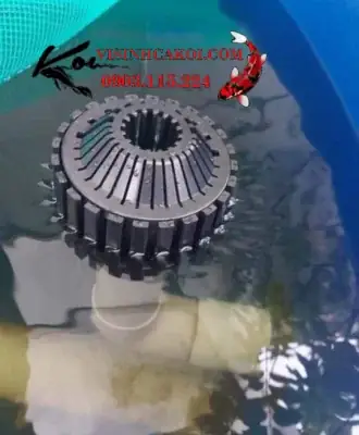 hút mặt hồ cá