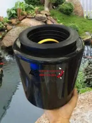 hút mặt hồ cá