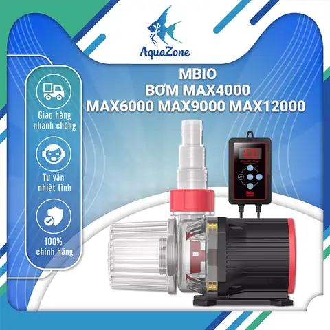 Hướng Dẫn Chi Tiết Cách Hút Nước Bể Cá Hiệu Quả và An Toàn