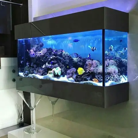 kệ để bể cá