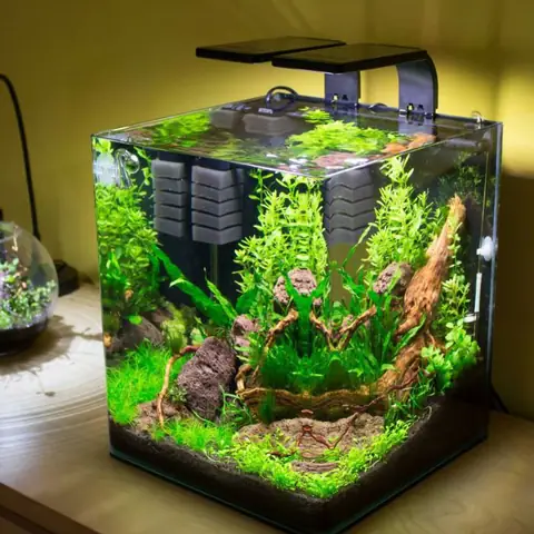kệ để bể cá