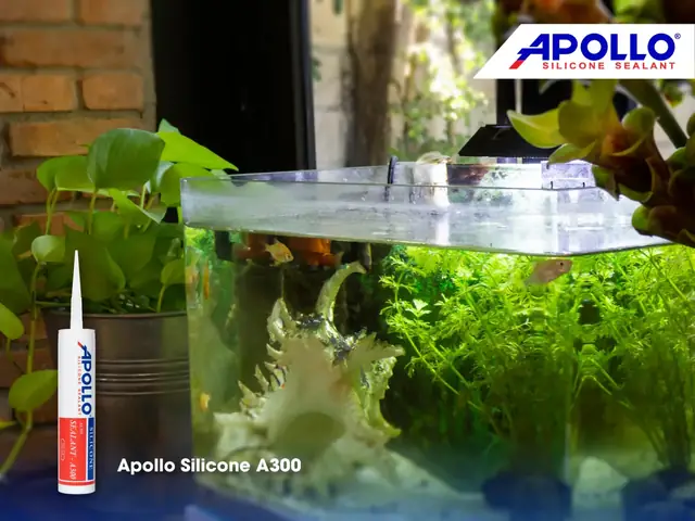1. Lý do Apollo A300 là keo silicon chống thấm nước phù hợp với bể cá