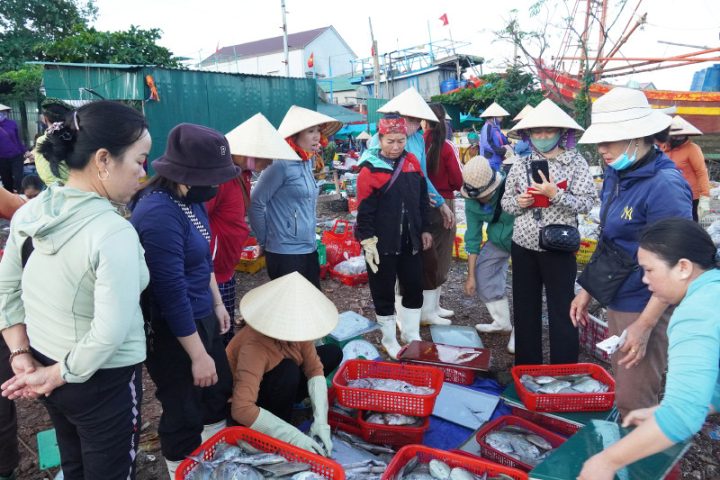 Khung cảnh giao dịch cá cảnh tại Dương Võ
