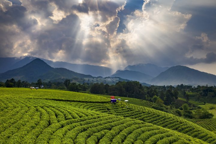 Khung cảnh thiên nhiên hữu tình tại Thái Nguyên, địa điểm lý tưởng cho người yêu cá cảnh