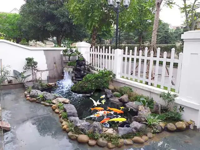 Kích thước bể cá mini: Hướng dẫn chọn bể phù hợp