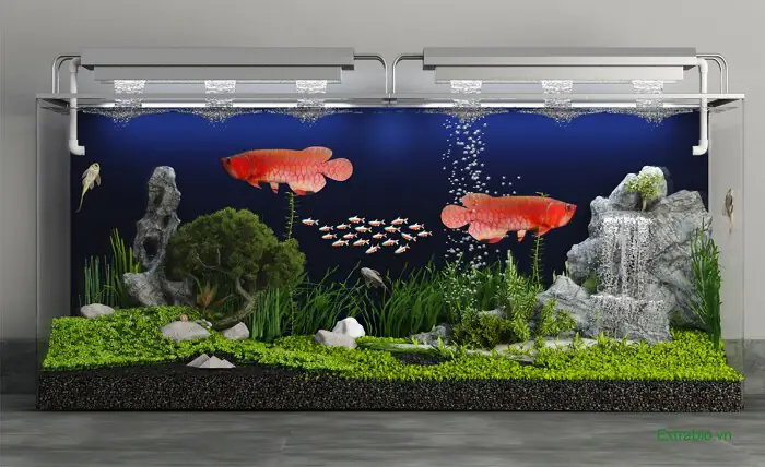 Kích thước hồ cá 90cm