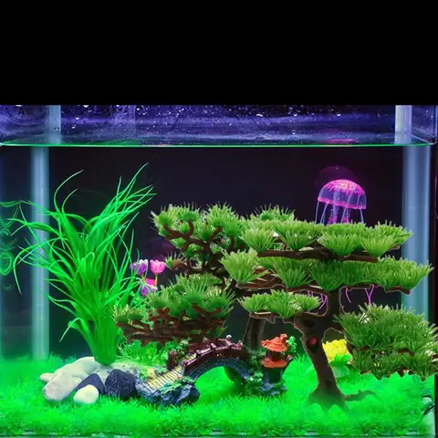 Kích thước hồ cá 60cm