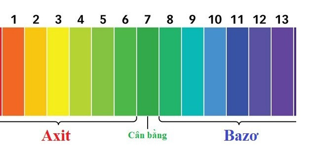Kiểm tra độ pH của nước hồ cá cảnh trước khi sử dụng thuốc tím để đảm bảo an toàn cho cá.