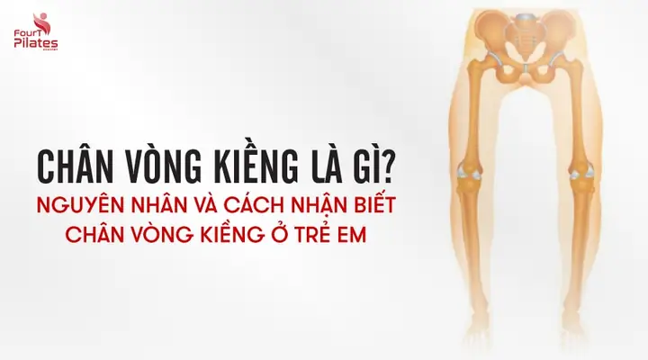 Kiềng Hồ Cá Là Gì? Toàn Tập Về Phụ Kiện Đắc Lực Cho Bể Cá