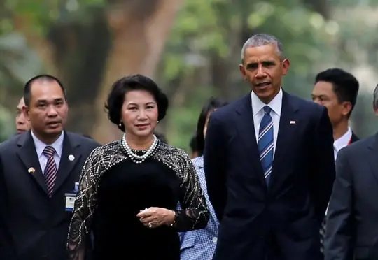 Có Nên Cho Cá Ăn Cây Kim Ngân Không? Chuyên Gia Giải Đáp