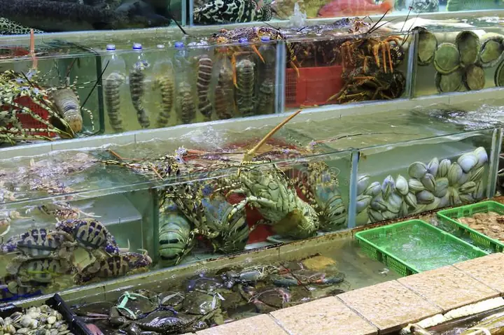 Kinh Doanh Cá Biển: Hướng Dẫn Chi Tiết Để Thành Công