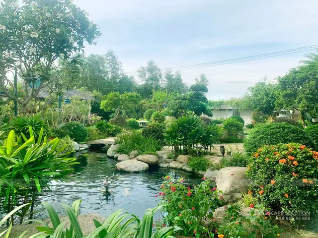 Kinh nghiệm xây hồ cá Koi chuẩn kỹ thuật và hợp phong thủy Kinh nghiệm xây hồ cá Koi chuẩn kỹ thuật và hợp phong thủy