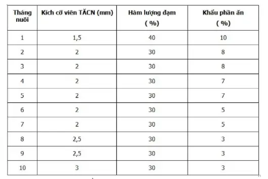 Kỹ thuật nuôi cá sặc rằn thương phẩm: Hướng dẫn từ A đến Z