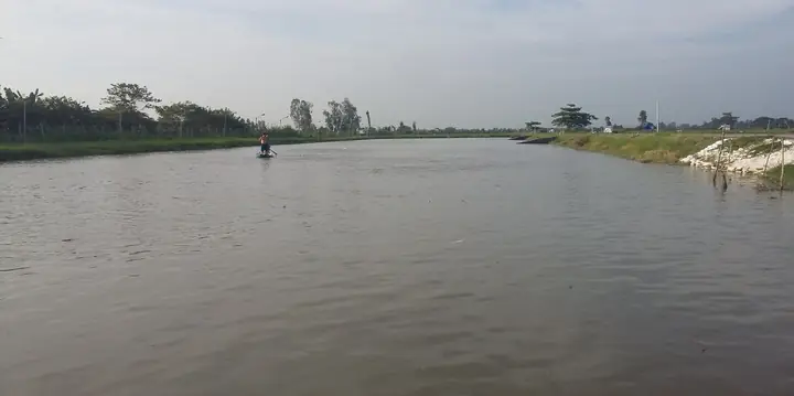 II.4.2 Quản lý đàn cá