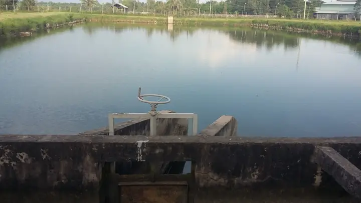 I.2 THIẾT KẾ AO NUÔI