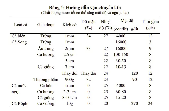 Kỹ thuật vận chuyển cá sống an toàn và hiệu quả